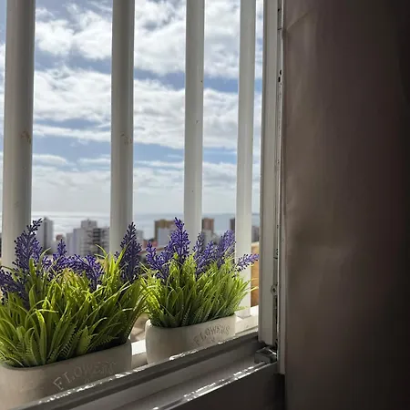 Casita Evisuit Apartamento *