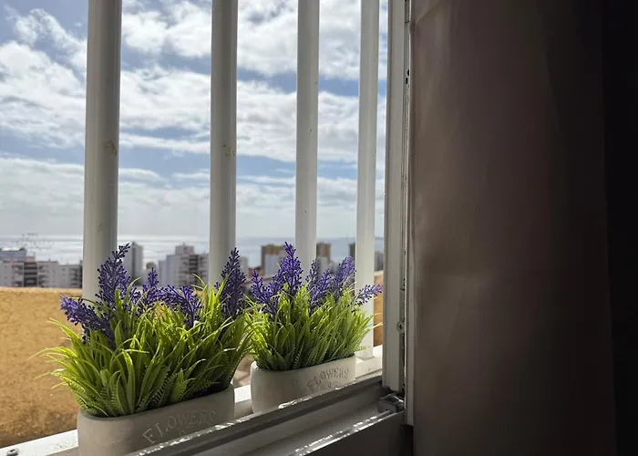 Casita Evisuit Апартаменты *